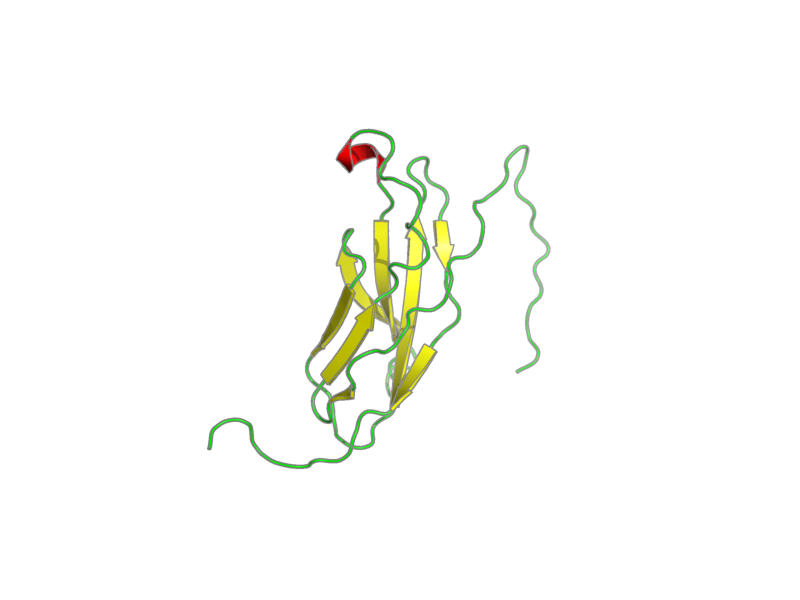 Ribbon image for 1wfu