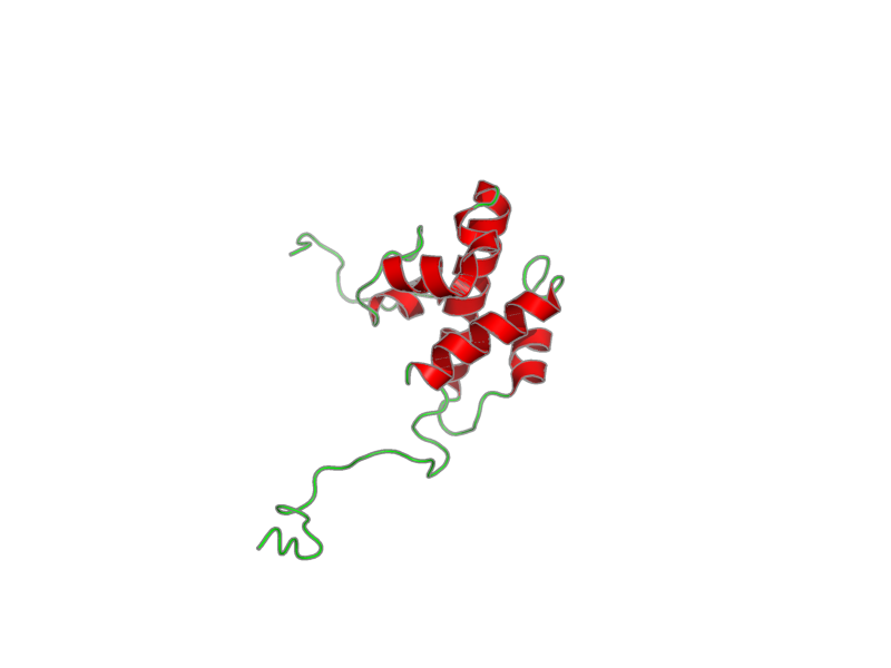 Ribbon image for 2com