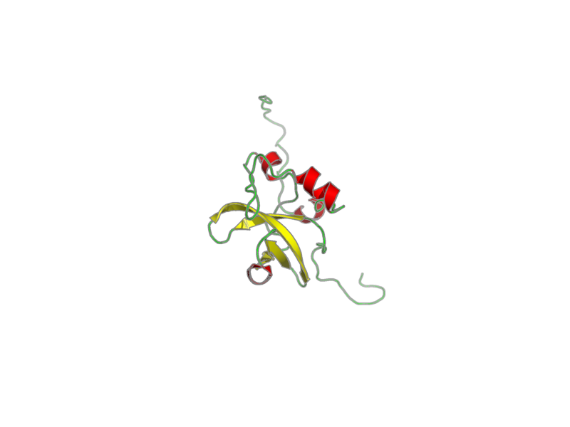Ribbon image for 1wjs