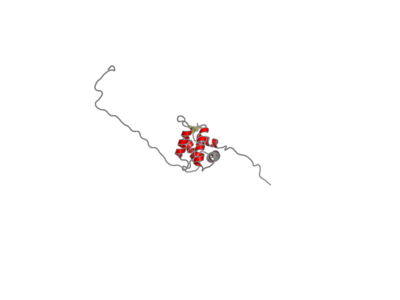 Ribbon image for 1wlm