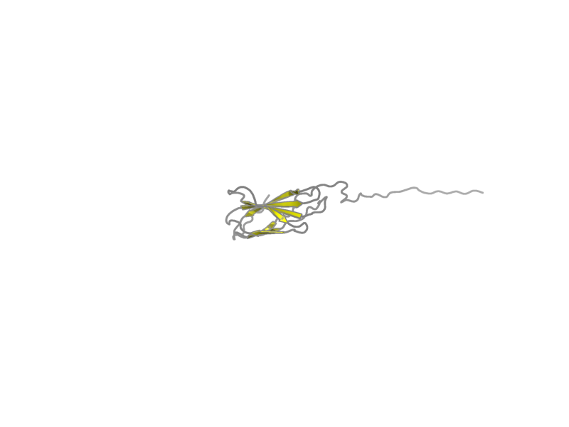 Ribbon image for 1wfo