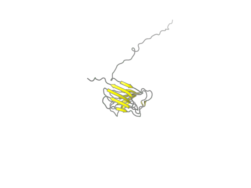 Ribbon image for 1ufg