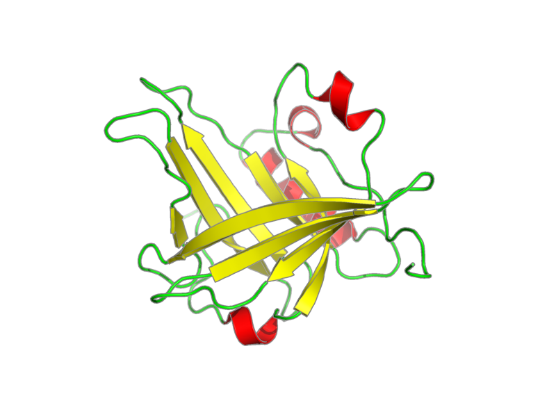 Ribbon image for 2e4j