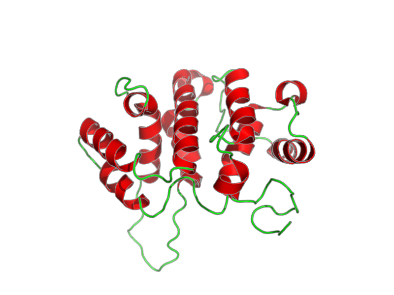 Ribbon image for 2ee4