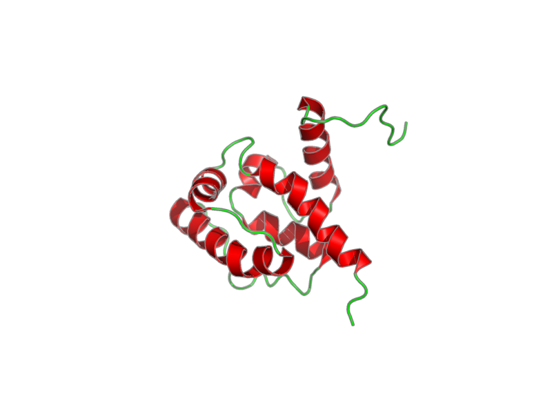 Ribbon image for 2ee7