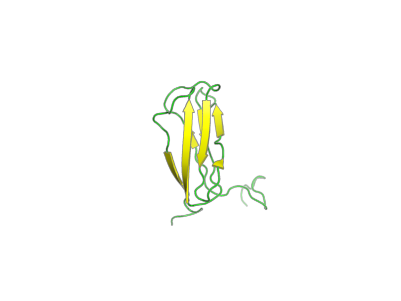 Ribbon image for 2ee9