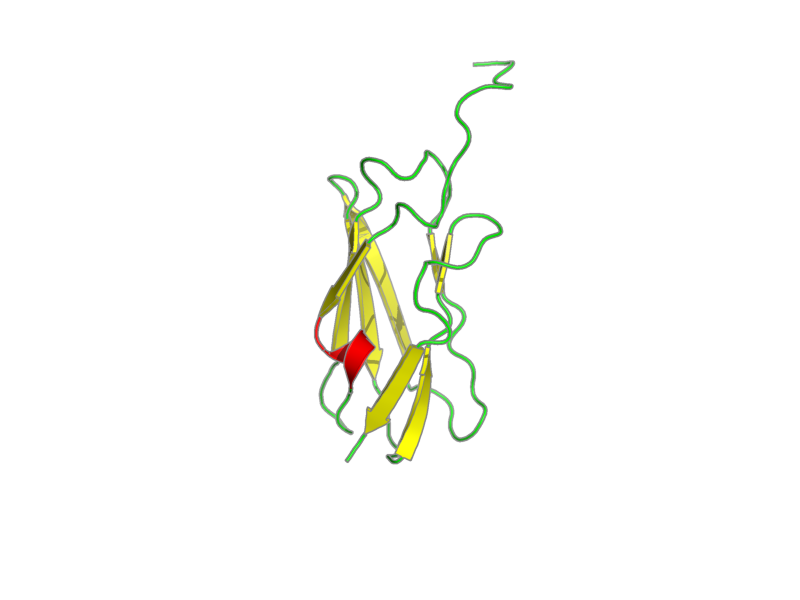 Ribbon image for 2eed