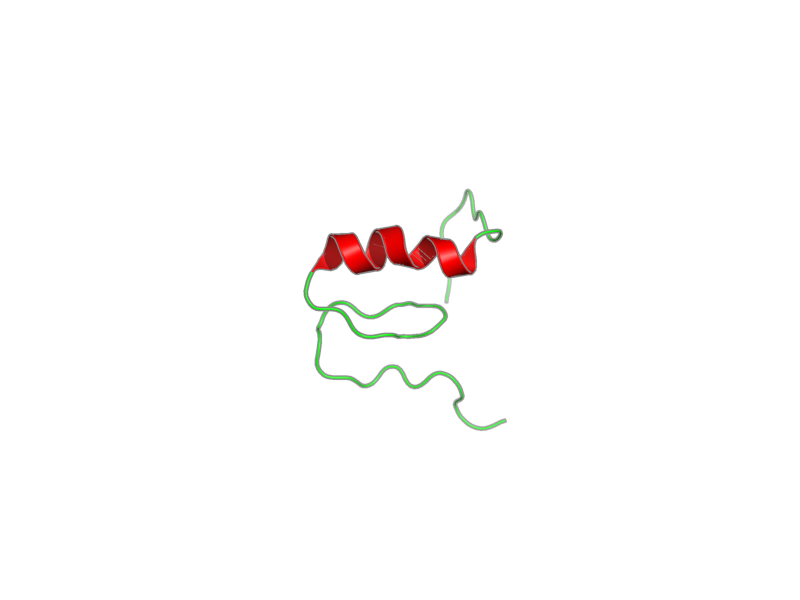 Ribbon image for 2yth