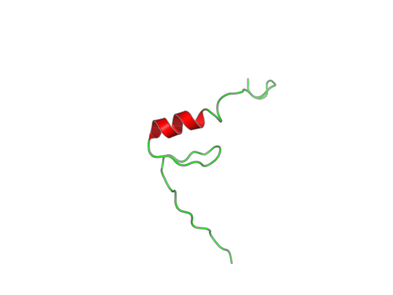 Ribbon image for 2yti