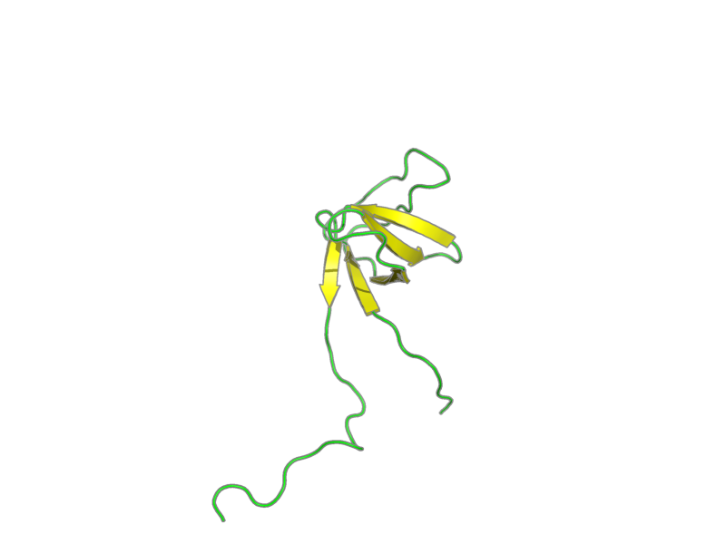 Ribbon image for 2yuo