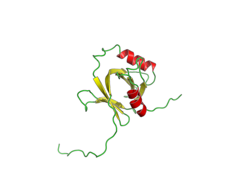 Ribbon image for 1wgu