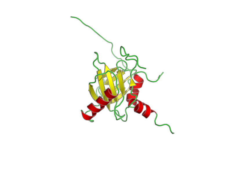 Ribbon image for 2roz
