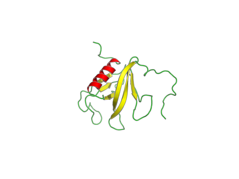 Ribbon image for 1x1g