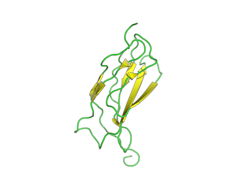 Ribbon image for 2edy