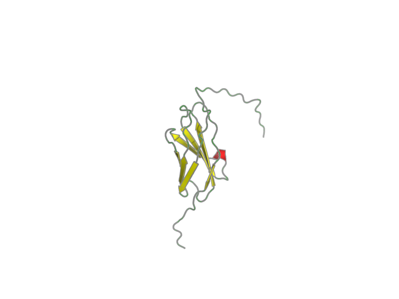 Ribbon image for 2ee2