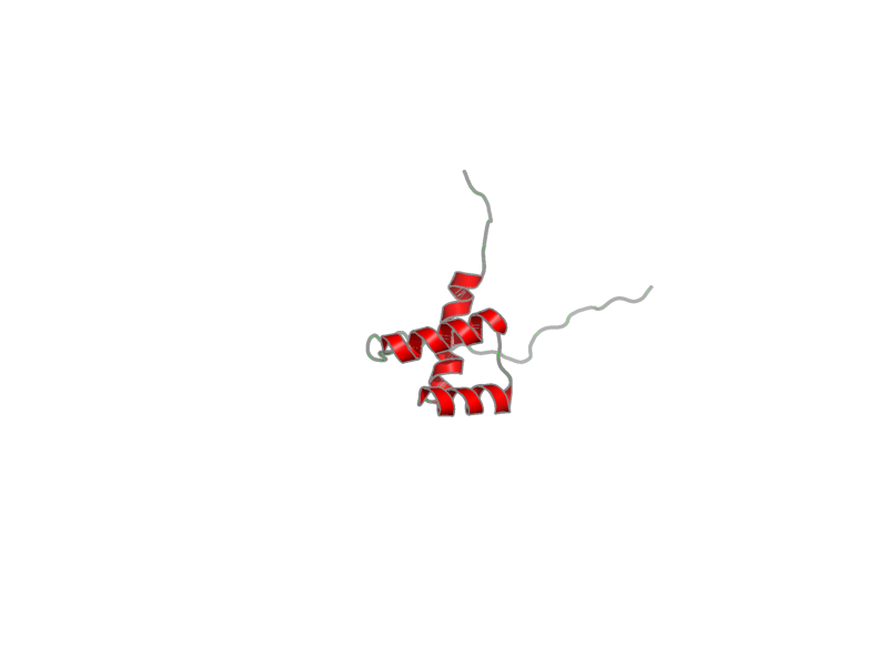 Ribbon image for 2dmt