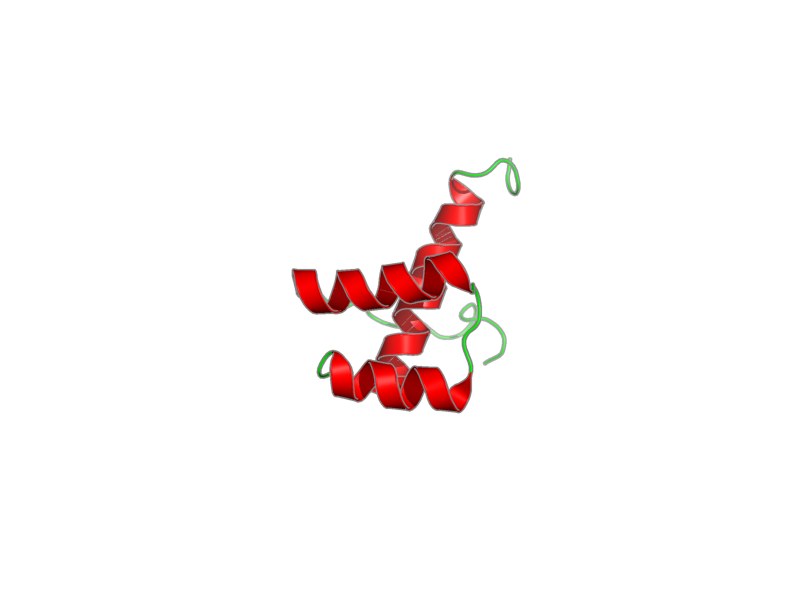 Ribbon image for 2dmu