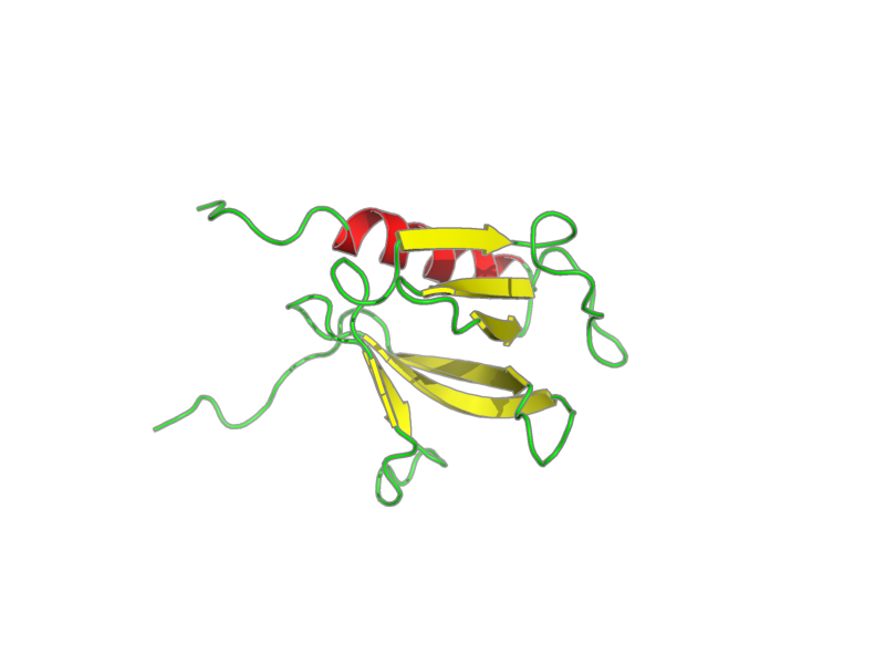 Ribbon image for 2dhi