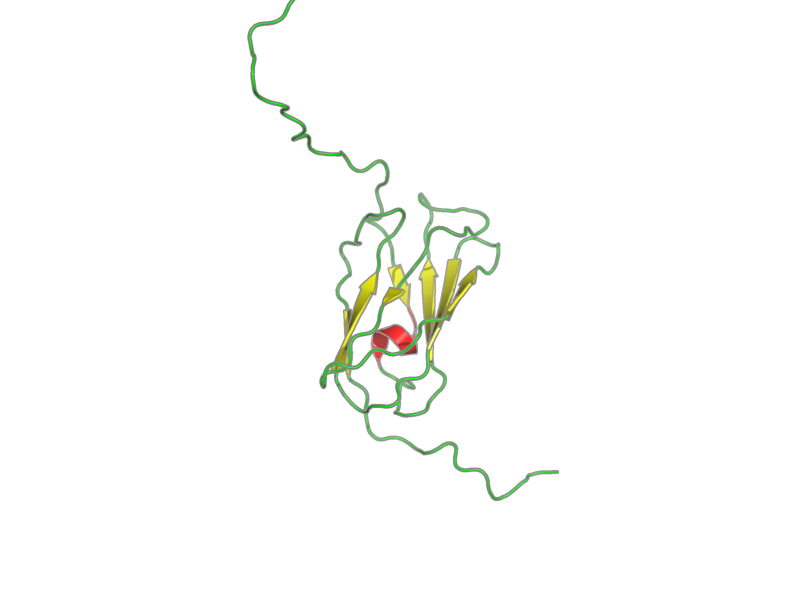 Ribbon image for 2dib