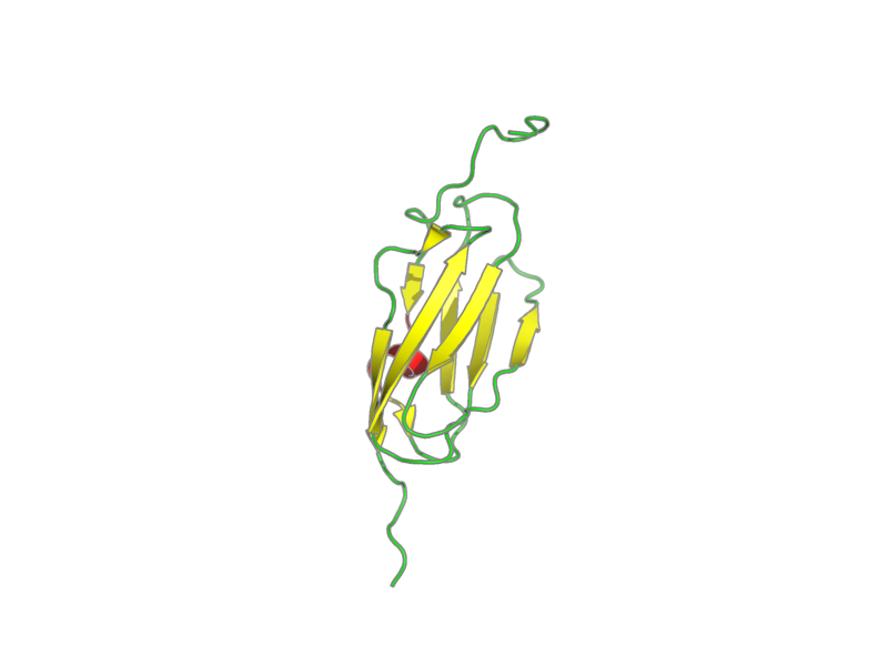 Ribbon image for 2dic