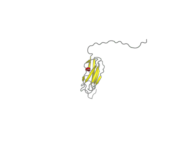 Ribbon image for 2dmb