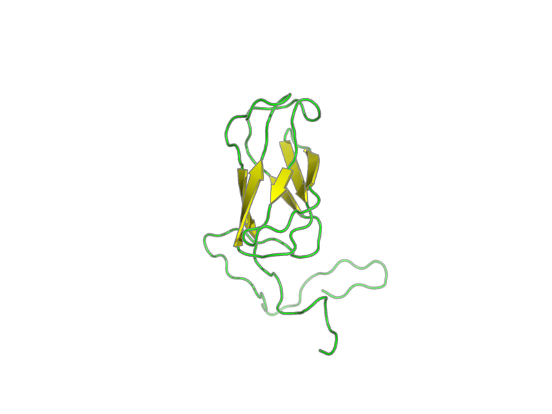 Ribbon image for 2dmc