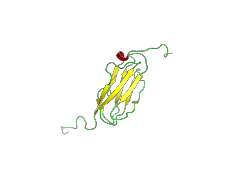 Ribbon image for 2di8
