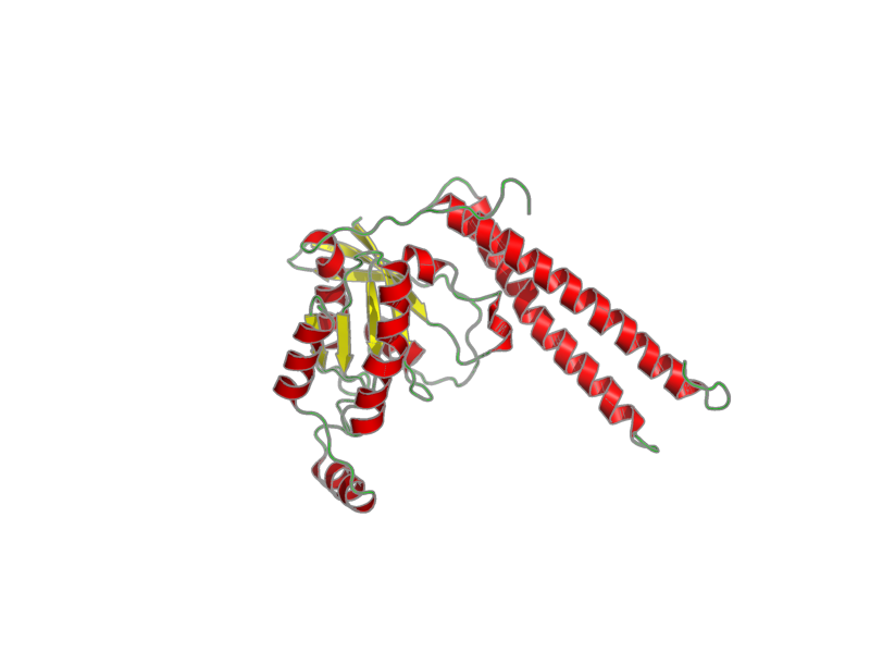Ribbon image for 2rmk