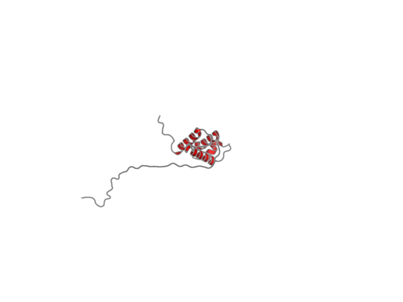 Ribbon image for 2roh