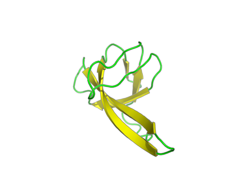 Ribbon image for 2rot