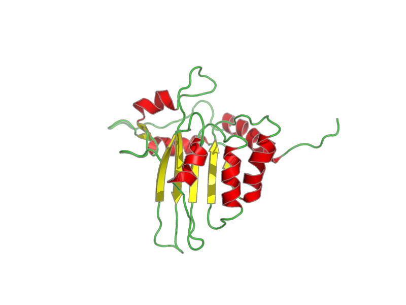 Ribbon image for 2rpz