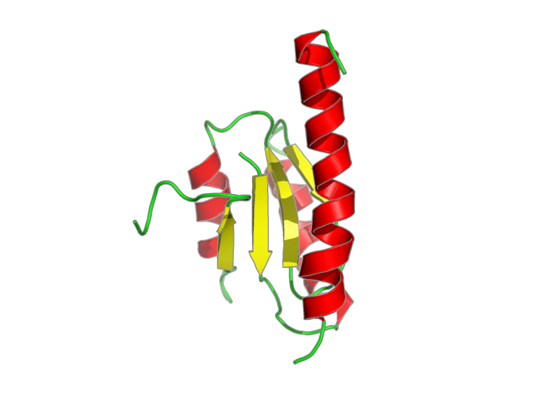 Ribbon image for 2rqk