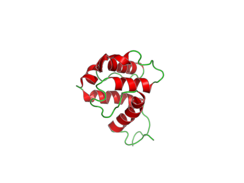 Ribbon image for 1wyl