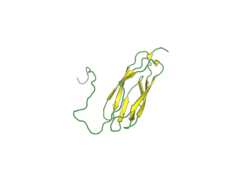 Ribbon image for 2ys4