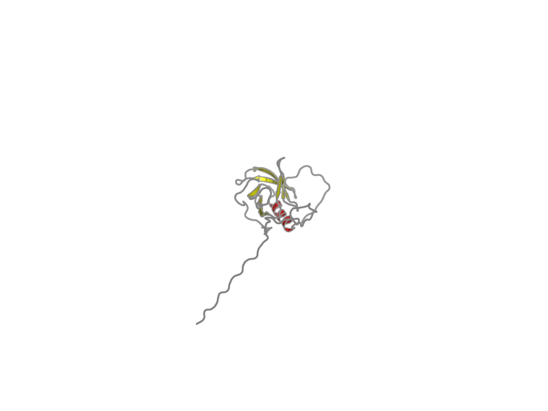 Ribbon image for 2ys5