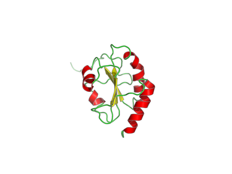 Ribbon image for 2dml