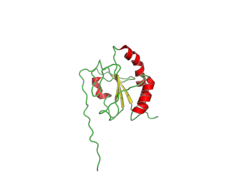 Ribbon image for 2dmm