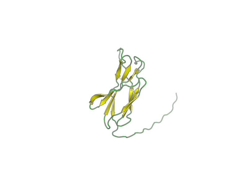 Ribbon image for 1x5h