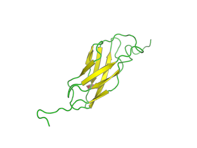 Ribbon image for 1x4y