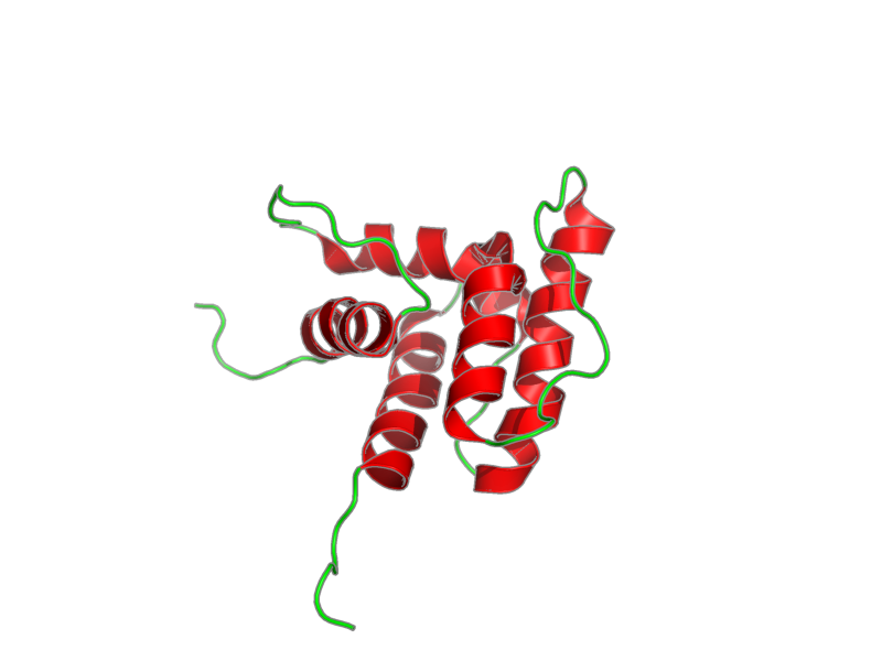 Ribbon image for 1wyr