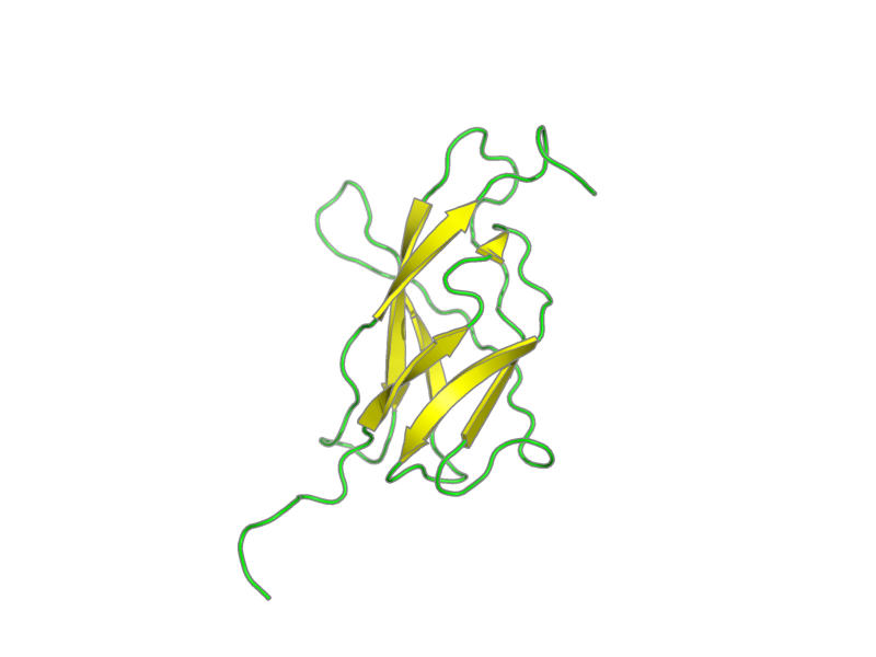 Ribbon image for 2yrp