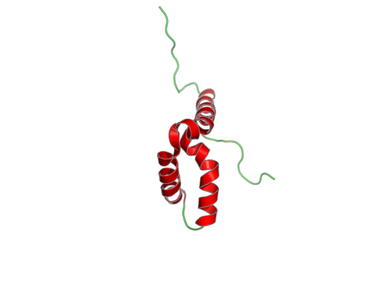 Ribbon image for 2yul