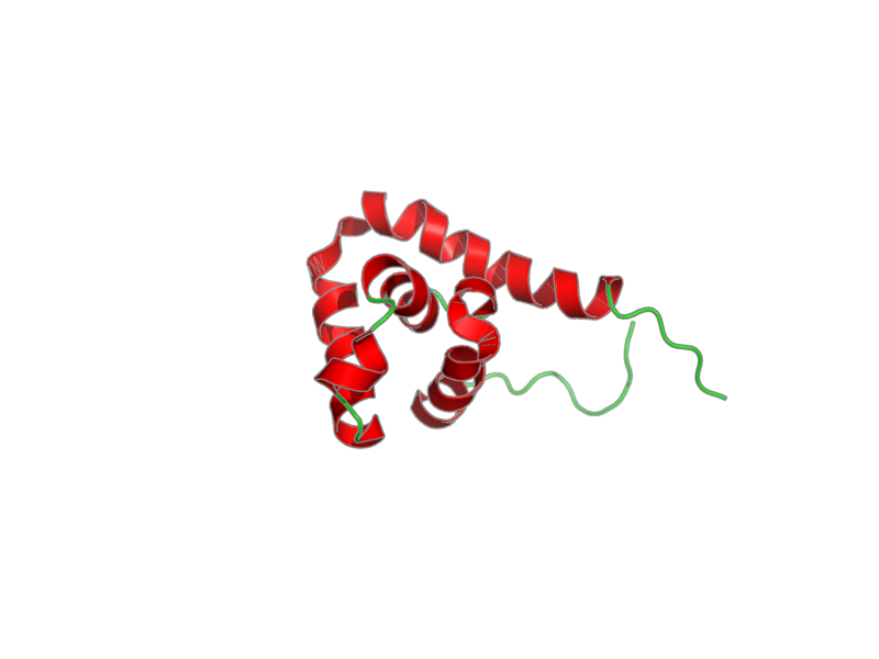 Ribbon image for 2yuk