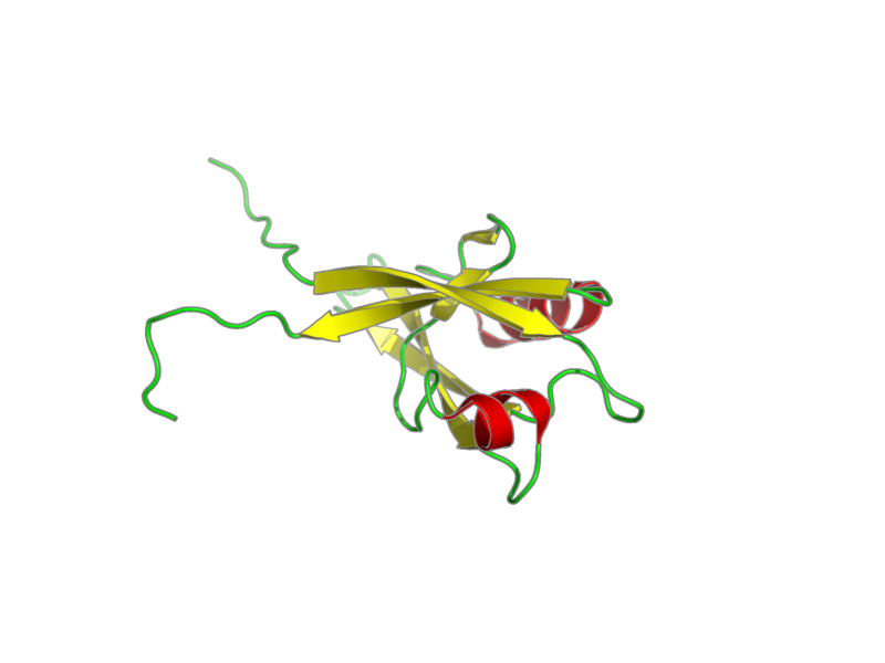 Ribbon image for 1wf8