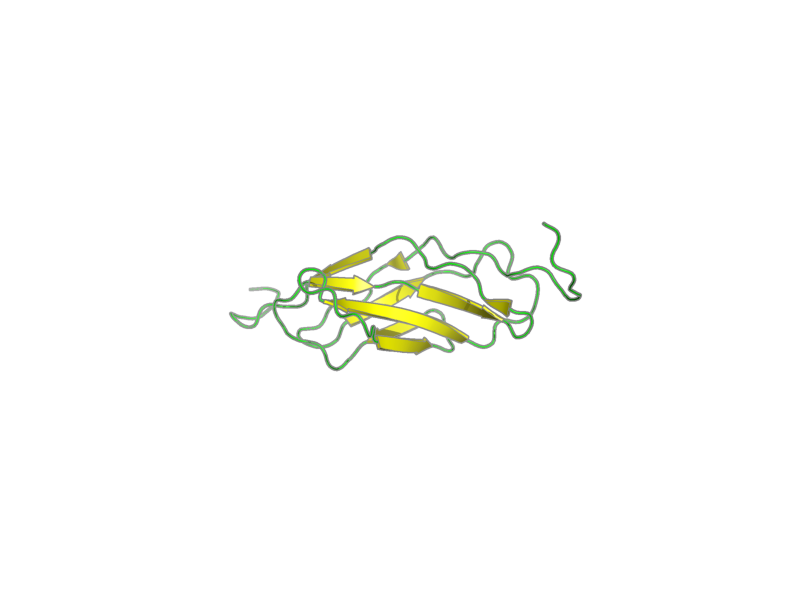 Ribbon image for 1x5l