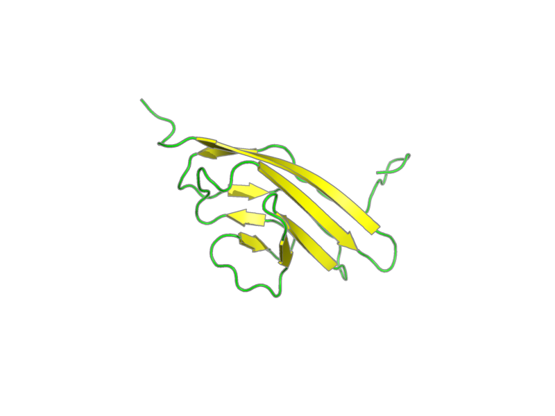 Ribbon image for 2dl9