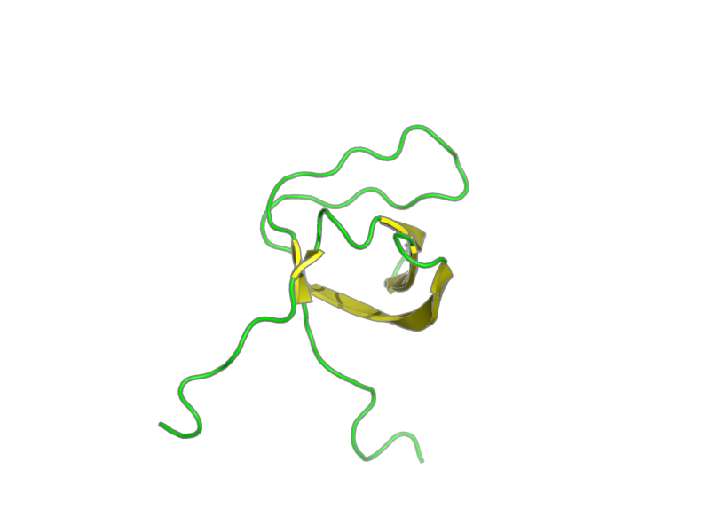 Ribbon image for 2dlm