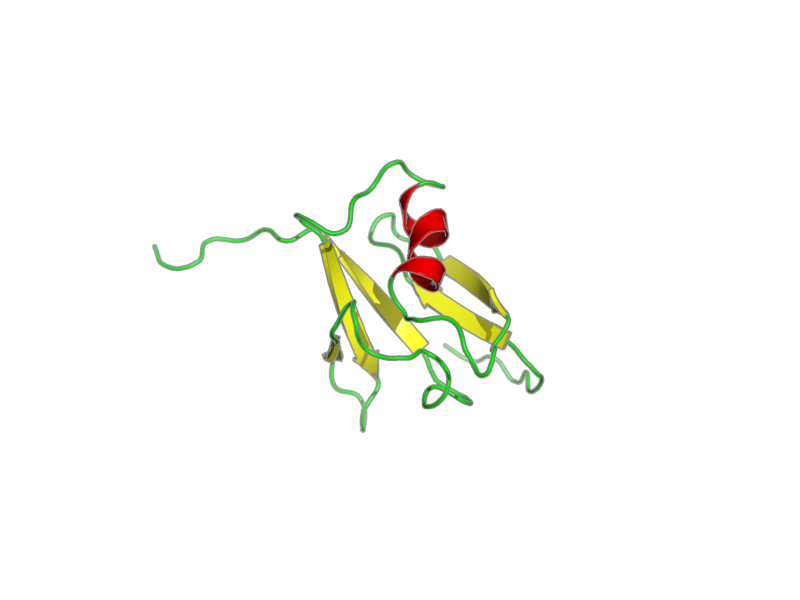 Ribbon image for 1wxm