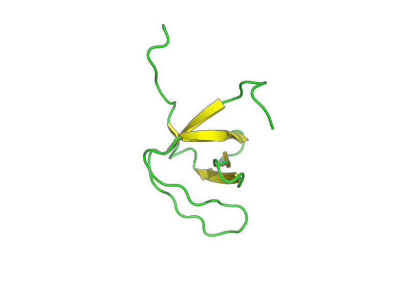 Ribbon image for 1wxt