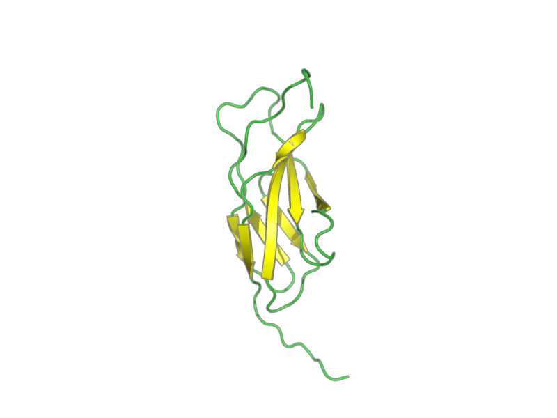 Ribbon image for 1x5x